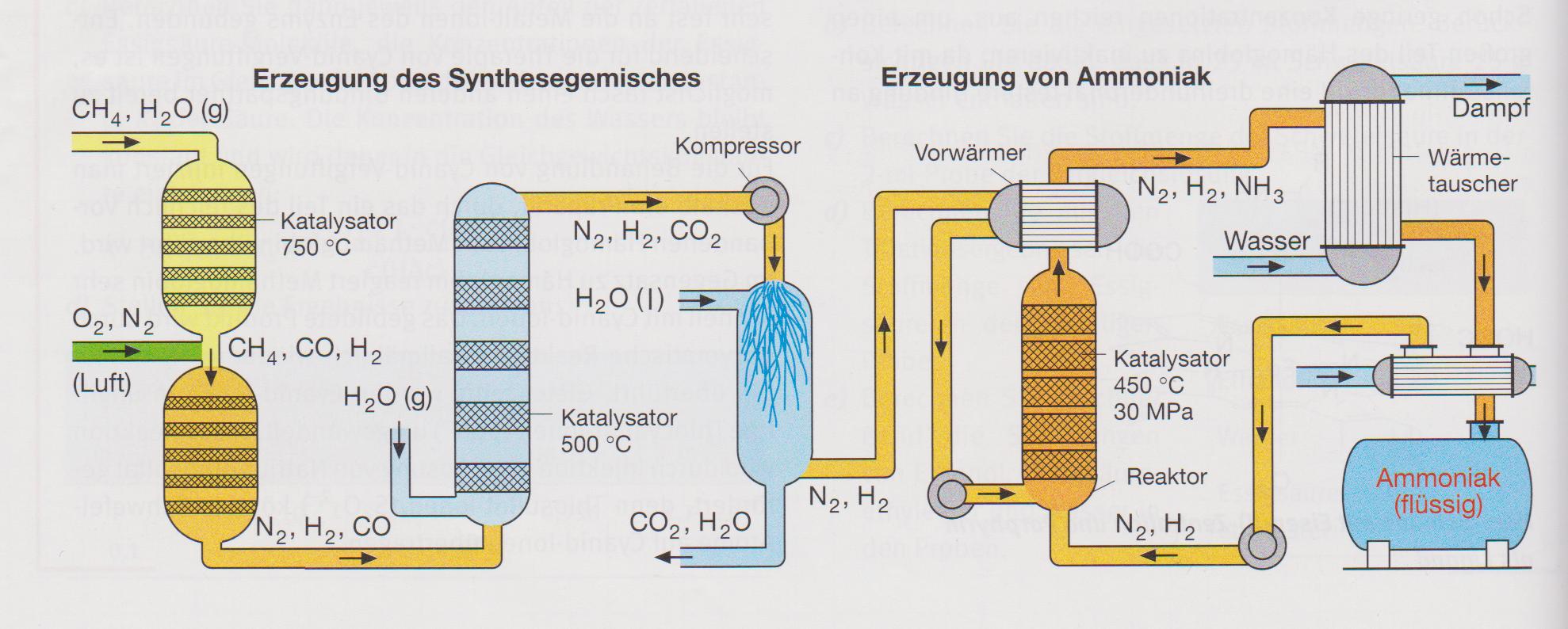 Ammoniaksynthese Haber Bosch Verfahren Q12 Chemie c1 - Winkler-Web